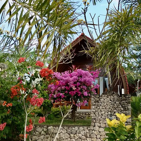 Jungle Paradise