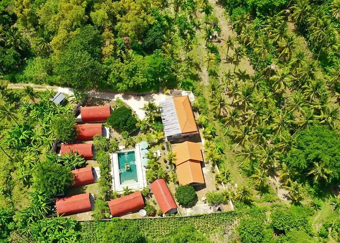 Jungle Paradise