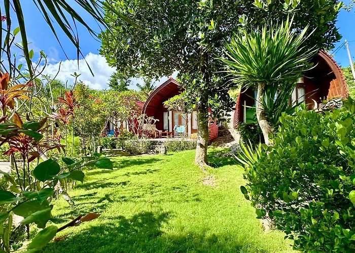 Jungle Paradise 3*