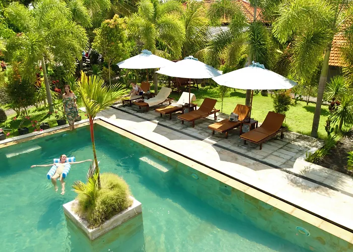 Jungle Paradise 3*